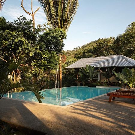 Wild Wasi Lodge - Adventures - Guided Tours プヨ エクステリア 写真