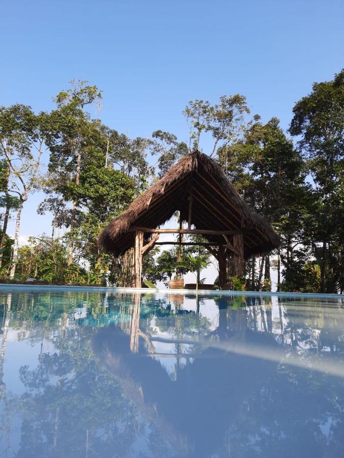 Wild Wasi Lodge - Adventures - Guided Tours プヨ エクステリア 写真