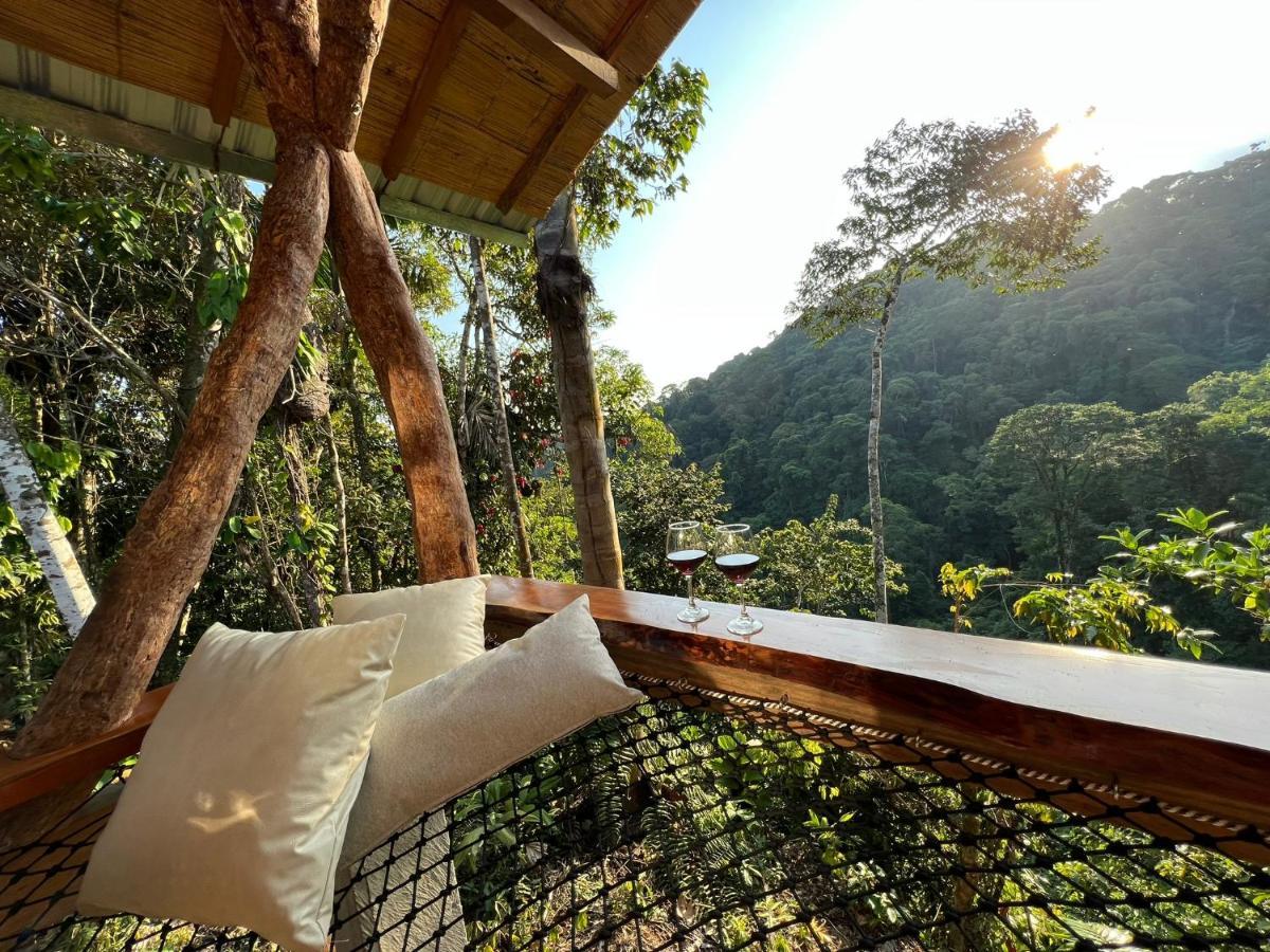 Wild Wasi Lodge - Adventures - Guided Tours プヨ エクステリア 写真