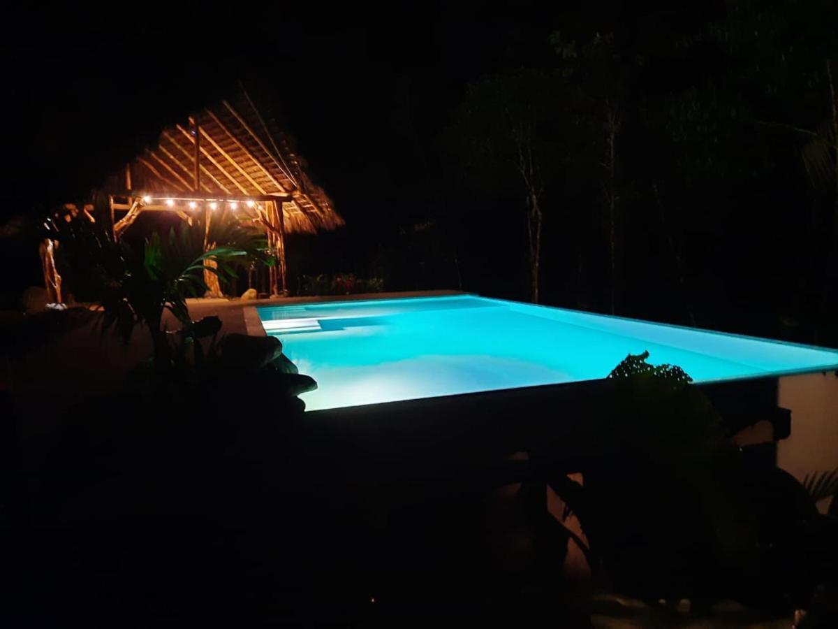 Wild Wasi Lodge - Adventures - Guided Tours プヨ エクステリア 写真