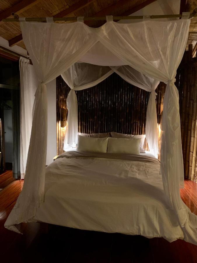 Wild Wasi Lodge - Adventures - Guided Tours プヨ エクステリア 写真