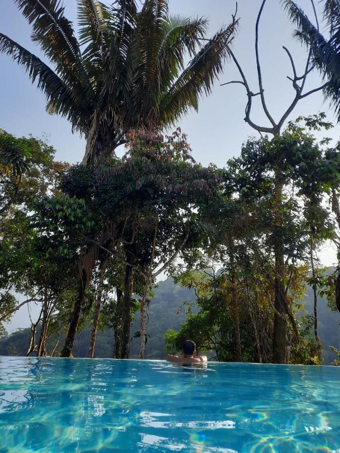 Wild Wasi Lodge - Adventures - Guided Tours プヨ エクステリア 写真