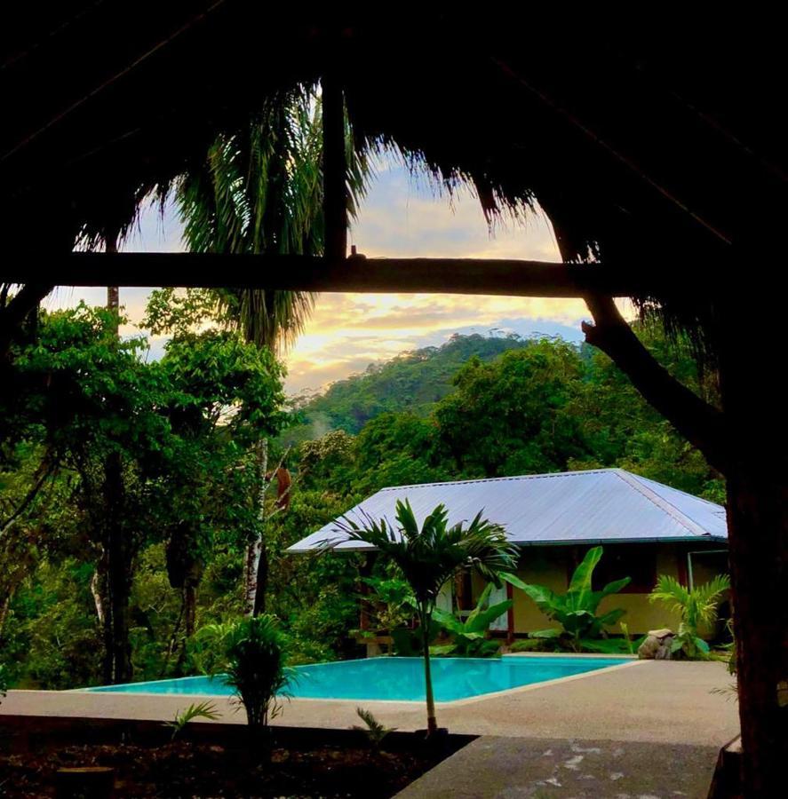 Wild Wasi Lodge - Adventures - Guided Tours プヨ エクステリア 写真