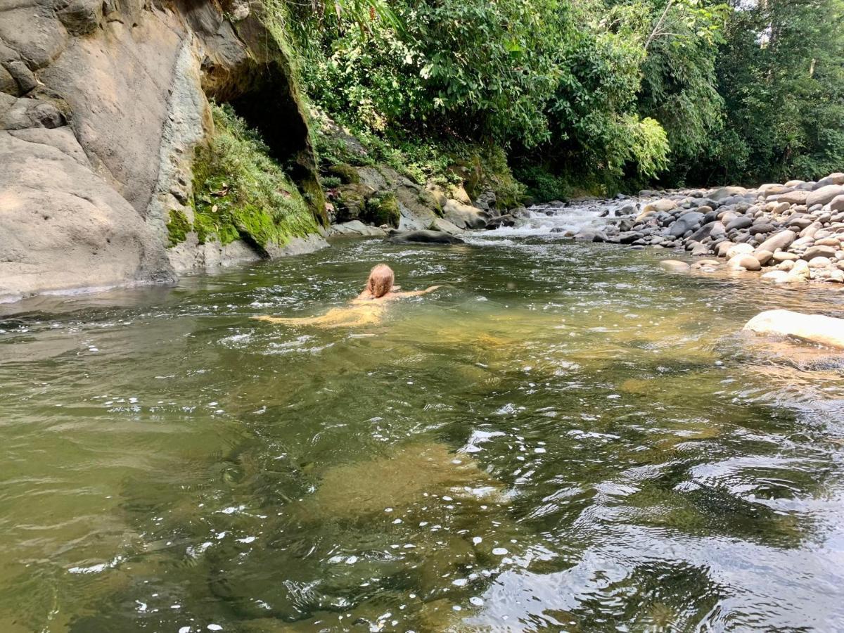 Wild Wasi Lodge - Adventures - Guided Tours プヨ エクステリア 写真