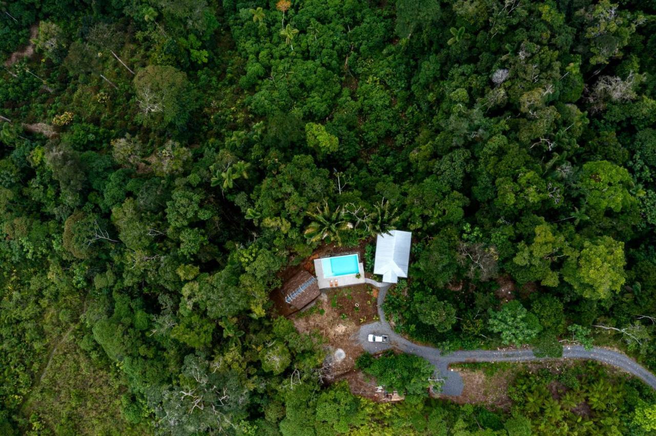 Wild Wasi Lodge - Adventures - Guided Tours プヨ エクステリア 写真