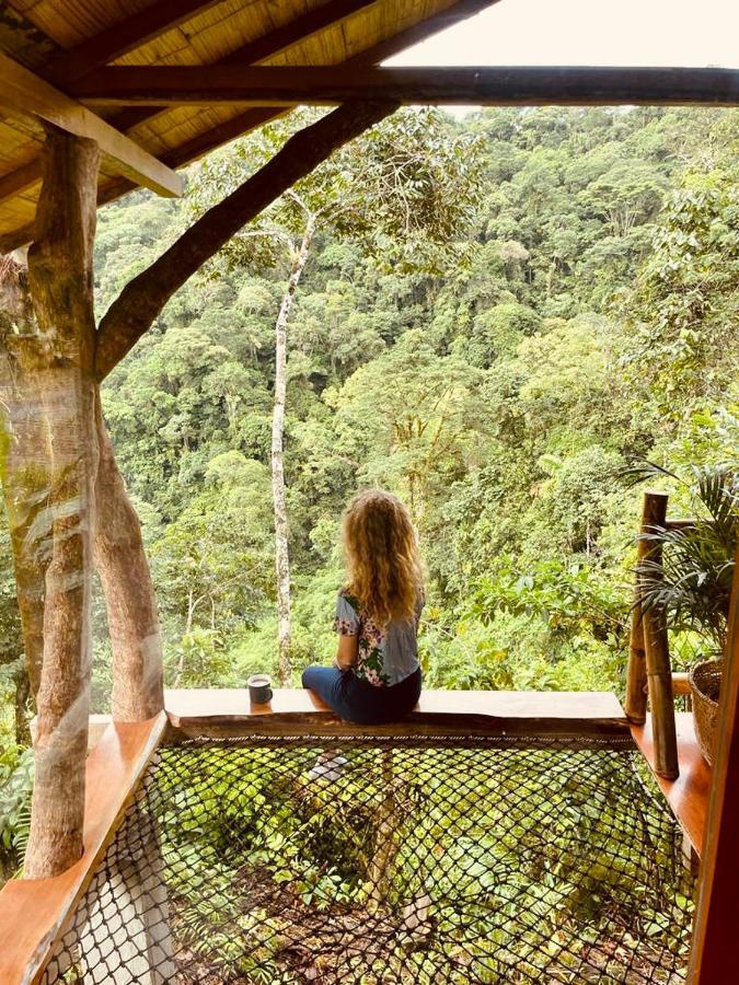 Wild Wasi Lodge - Adventures - Guided Tours プヨ エクステリア 写真