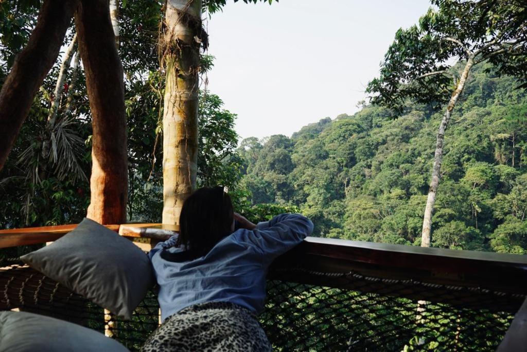 Wild Wasi Lodge - Adventures - Guided Tours プヨ エクステリア 写真