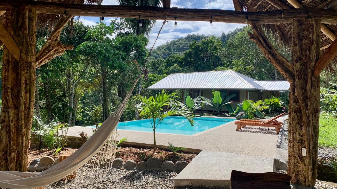 Wild Wasi Lodge - Adventures - Guided Tours プヨ エクステリア 写真