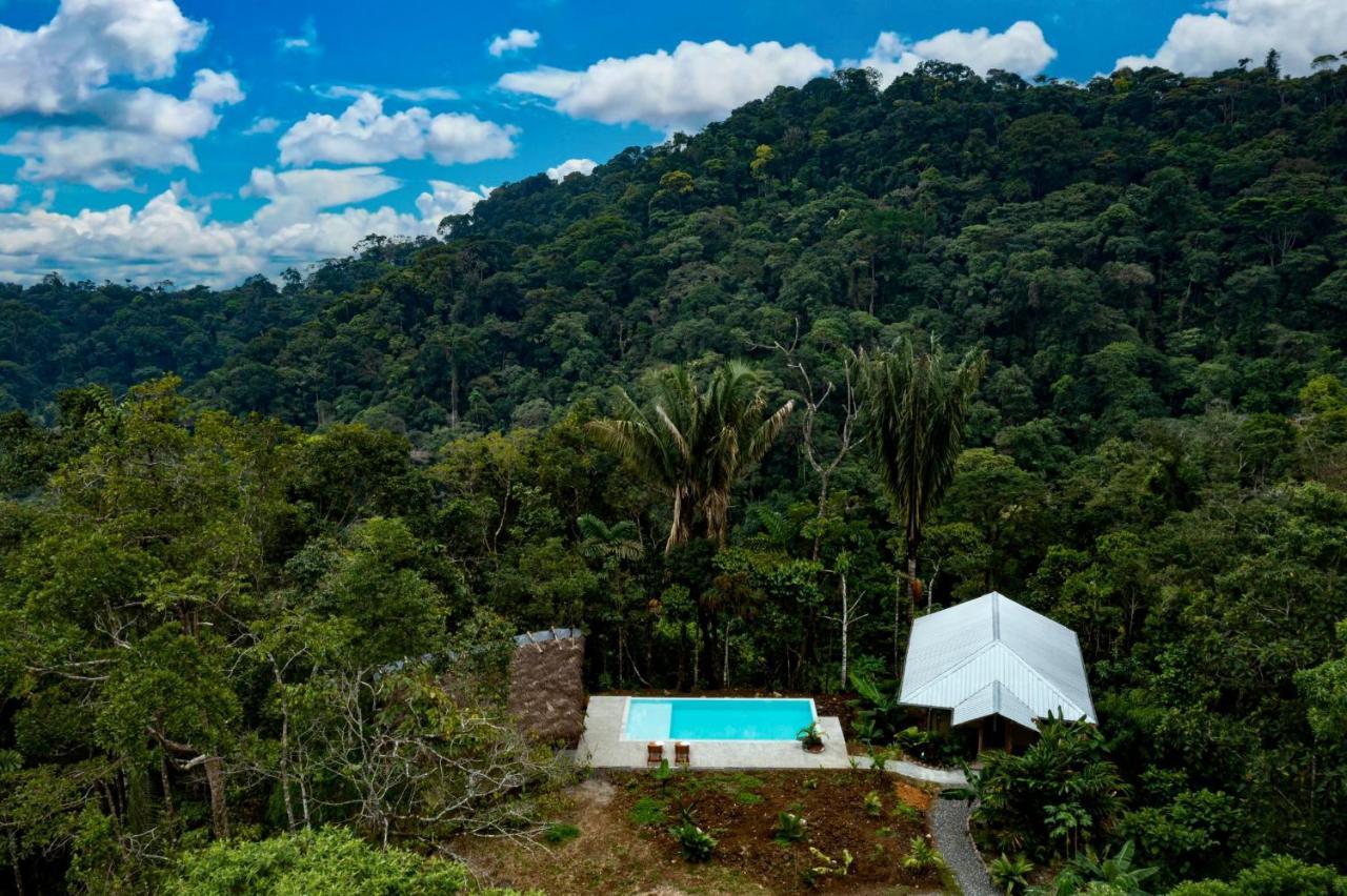 Wild Wasi Lodge - Adventures - Guided Tours プヨ エクステリア 写真