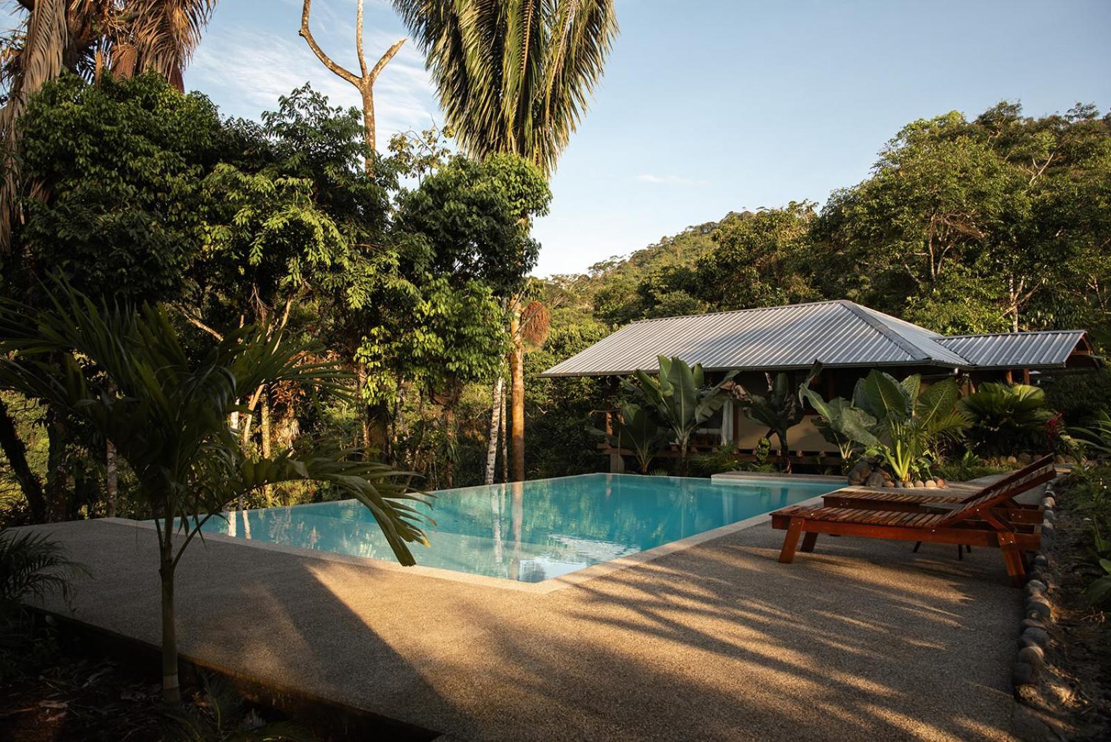 Wild Wasi Lodge - Adventures - Guided Tours プヨ エクステリア 写真