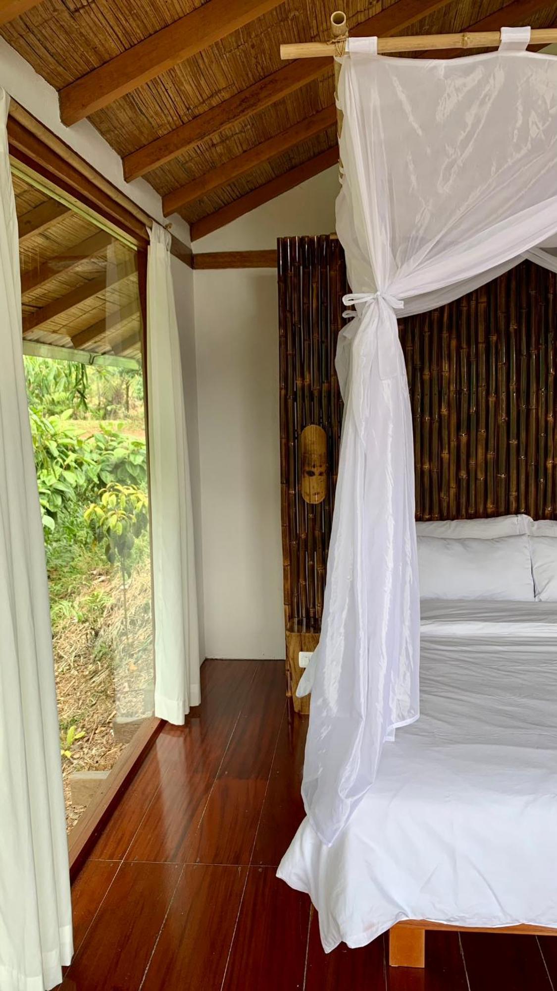 Wild Wasi Lodge - Adventures - Guided Tours プヨ エクステリア 写真