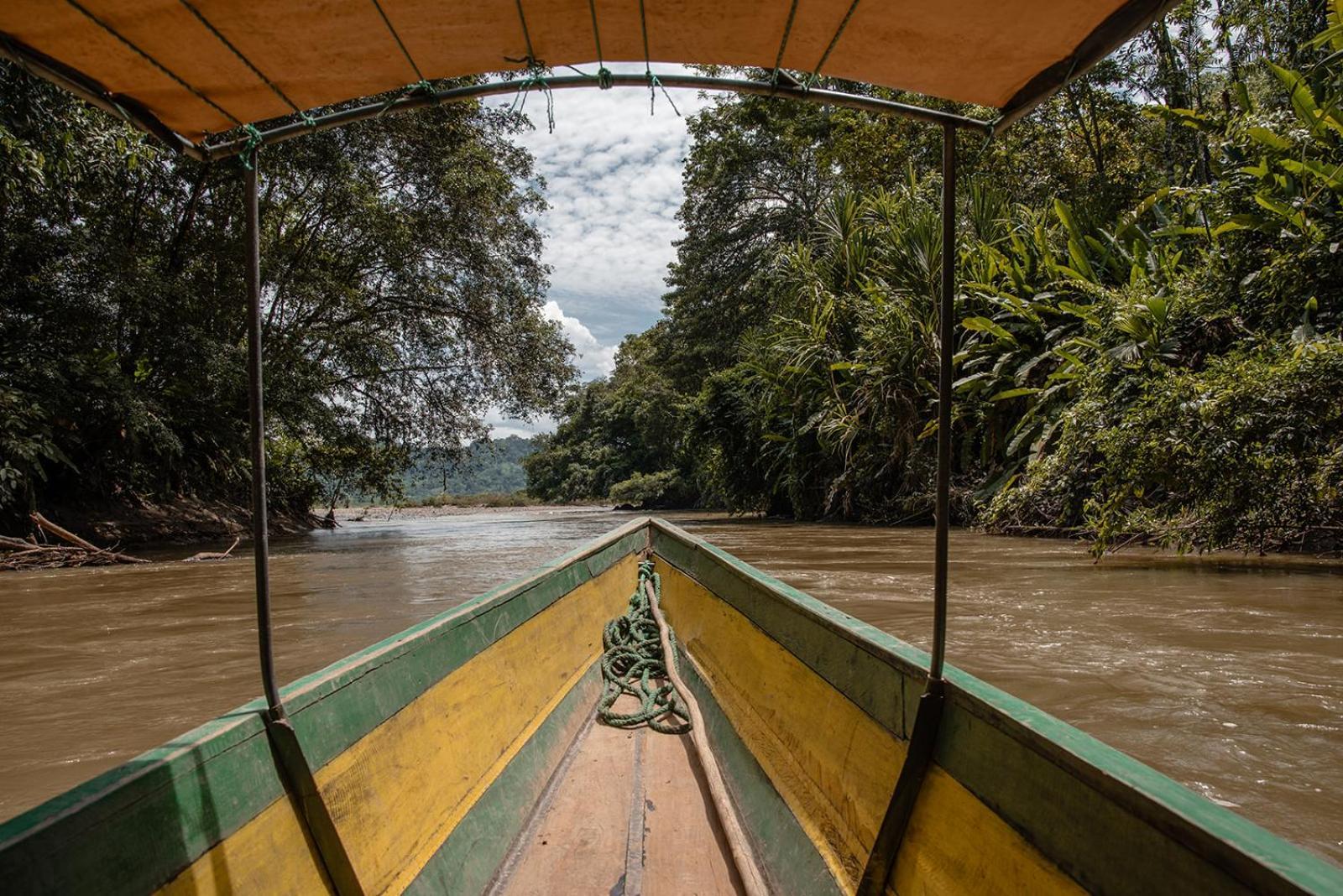 Wild Wasi Lodge - Adventures - Guided Tours プヨ エクステリア 写真
