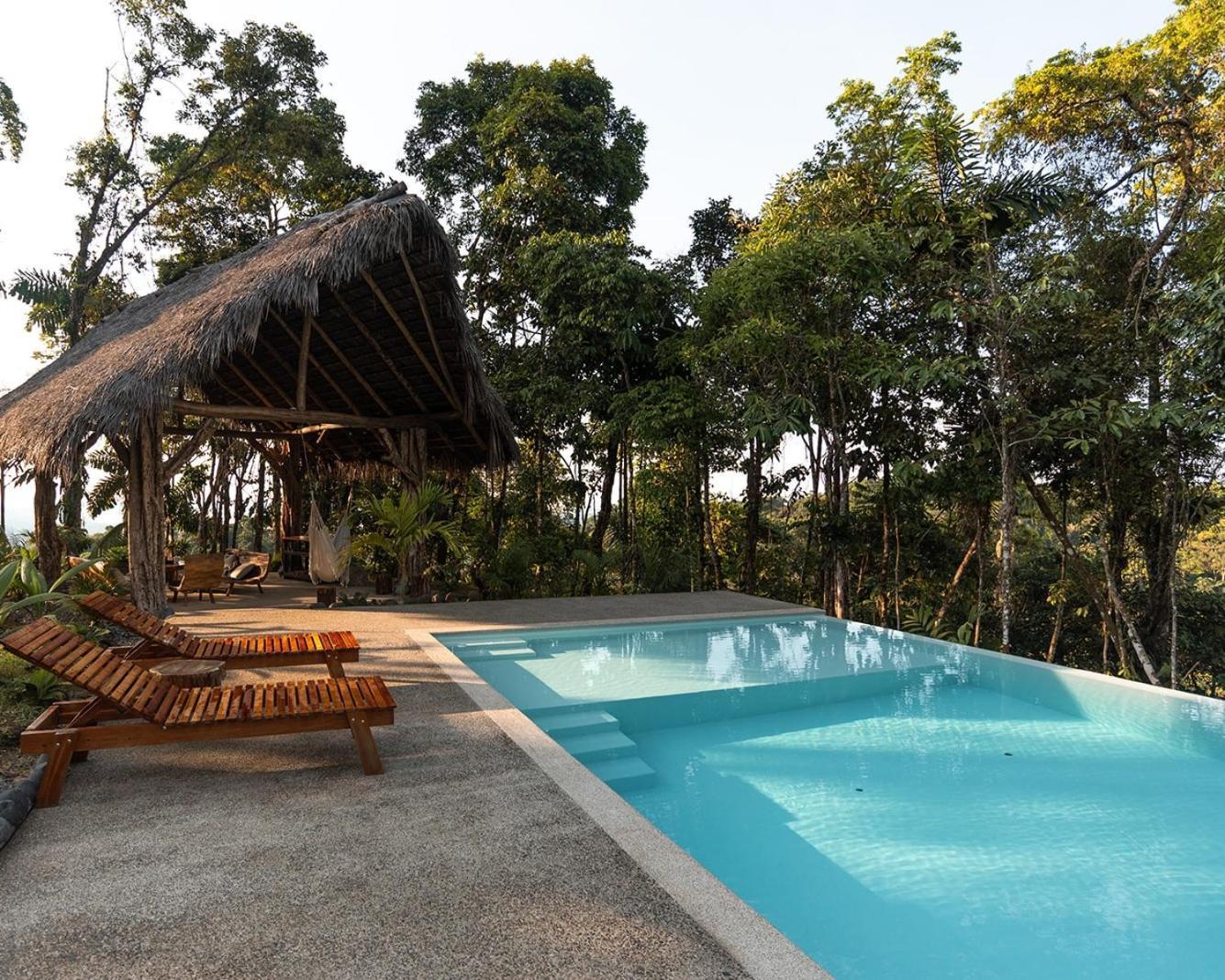 Wild Wasi Lodge - Adventures - Guided Tours プヨ エクステリア 写真