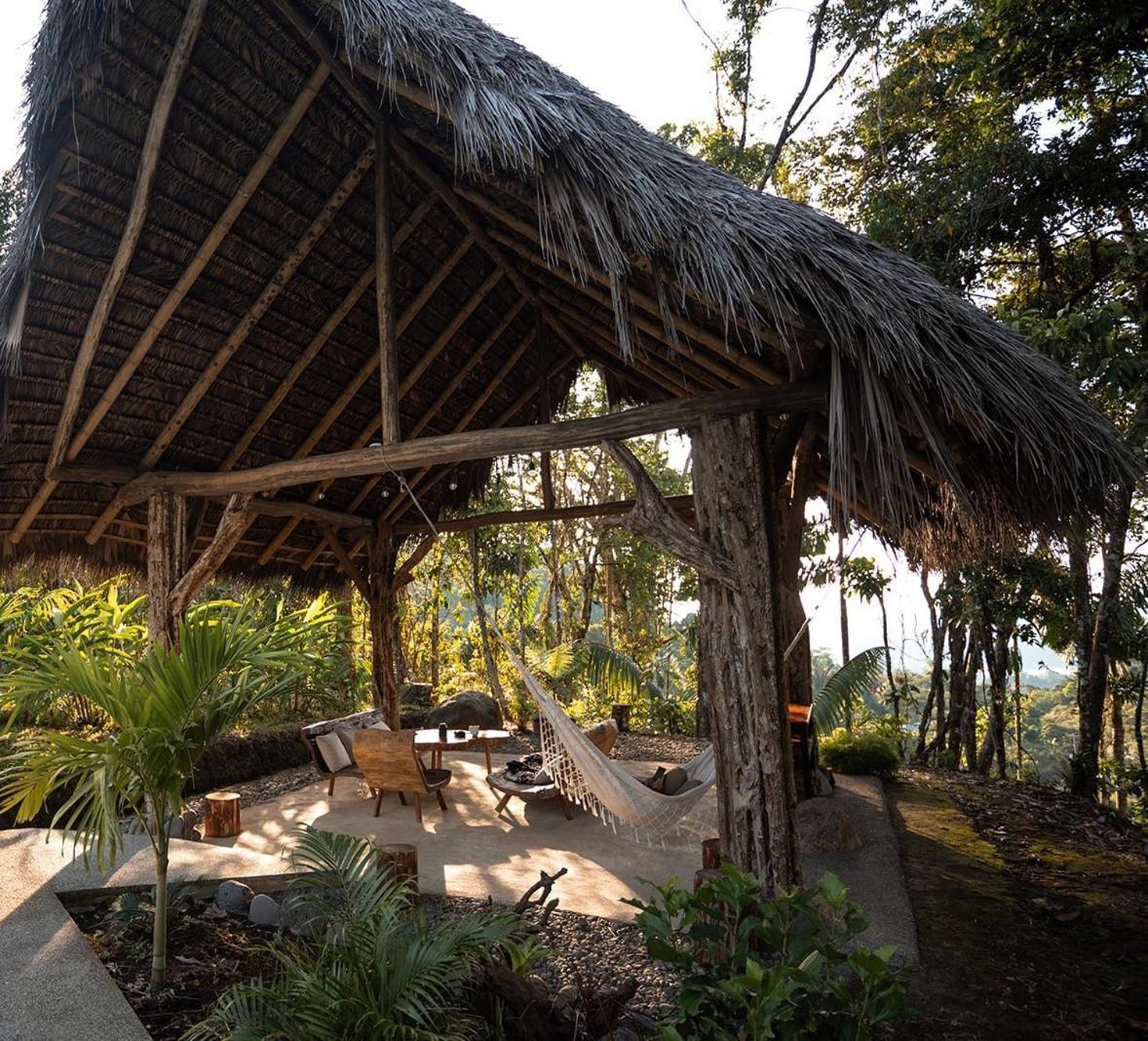 Wild Wasi Lodge - Adventures - Guided Tours プヨ エクステリア 写真