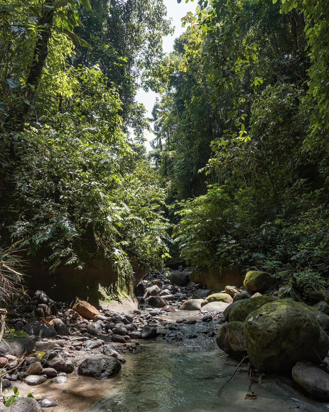 Wild Wasi Lodge - Adventures - Guided Tours プヨ エクステリア 写真